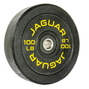 Bumper premium 100lb (par)